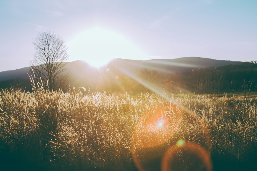 Joy in the Morning: The Dawn of the&nbsp;Comeback