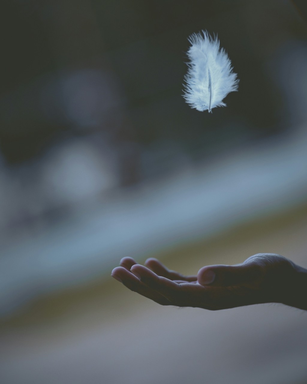 Peace in Suffering: The Calm Inside the&nbsp;Chaos