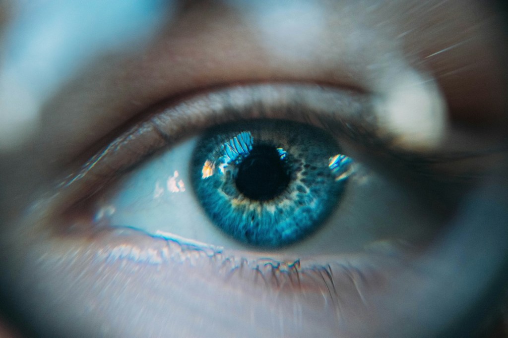 Seeing God: The Vision of the&nbsp;Heart