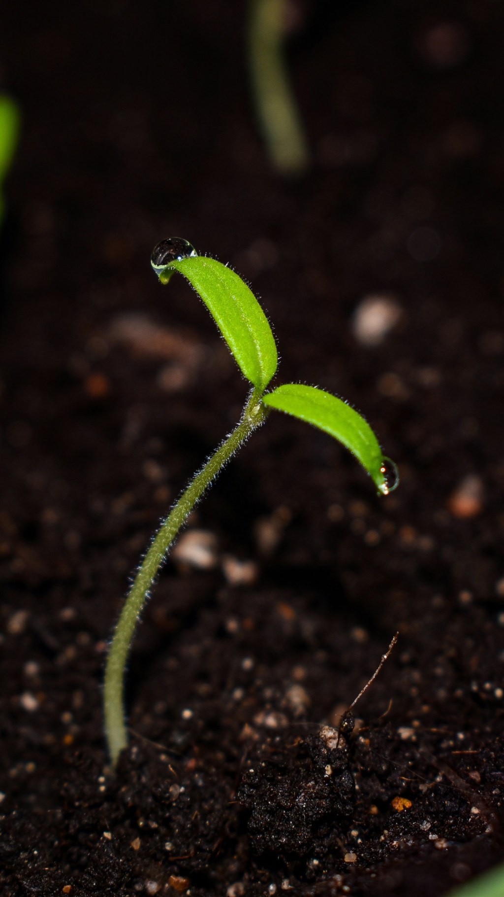 A Living Hope: The Inheritance That Won’t&nbsp;Expire